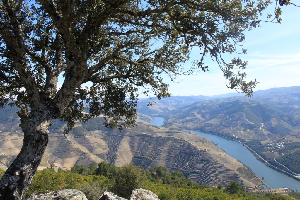 São Leonardo de Galafura Viewpoint